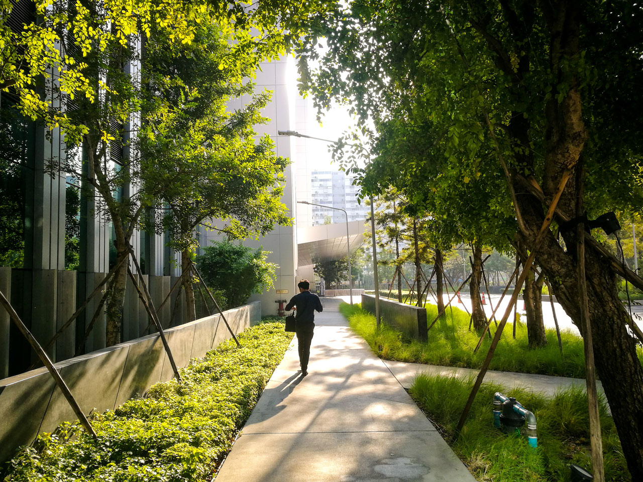 Walk in city surrounded by trees and grass